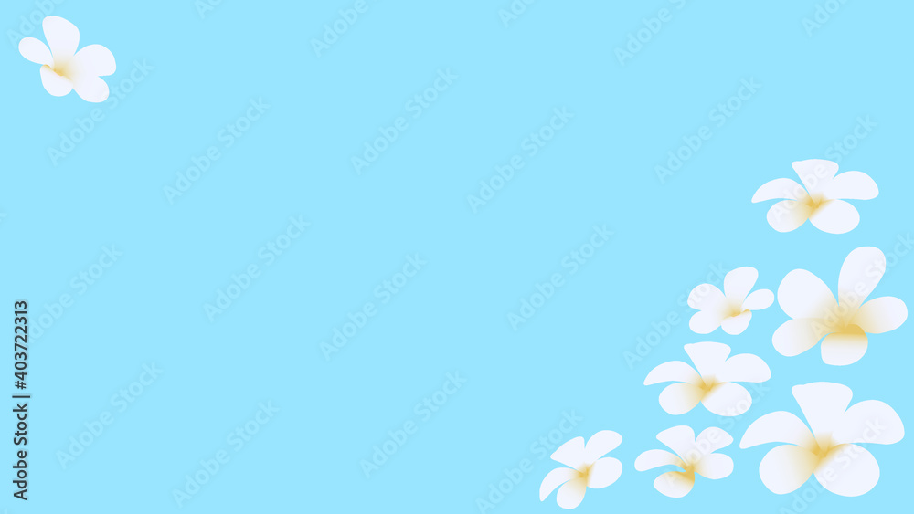 Floral seamless pattern. White plumeria flowers isolated on background