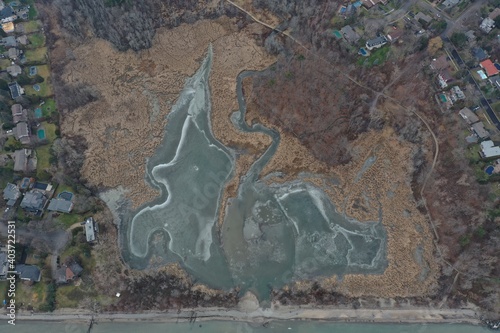 water in conservationarea photo