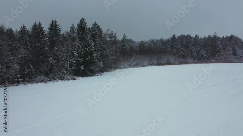 Wallpaper Mural 4K UHD aerial drone clip of a snowy field surrounded by trees at a forest in winter with snow covering the tree tops in Bavaria, Germany. The trees are moving by backwards above eye level. Torontodigital.ca