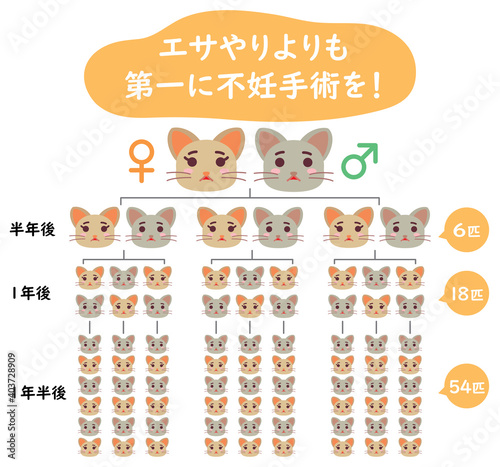 地域猫TNRの説明イラスト　エサやりより不妊手術