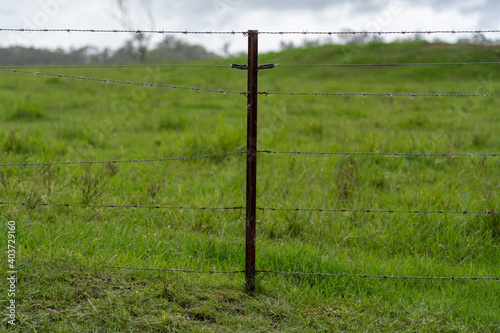 close up of barb wire fence on farm with green field in the background