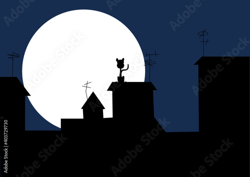Katze in der Nacht