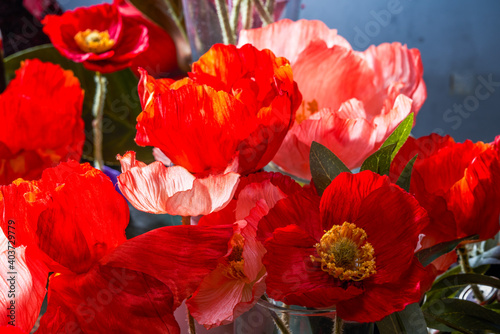 Set close-up of many groups of festive red flowers