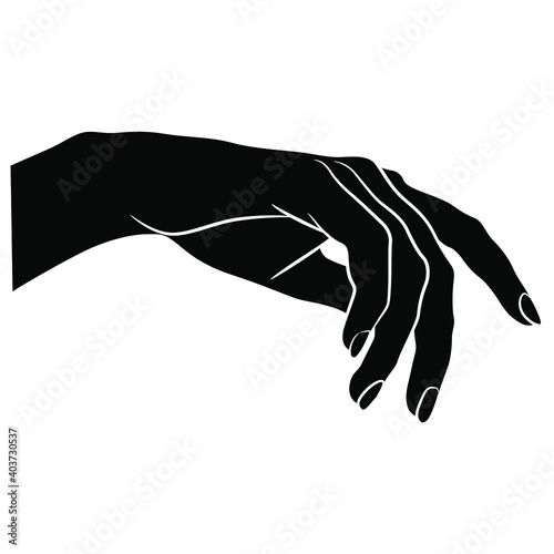 Beautiful female hand in elegant relaxed gesture. Hand drawn sketch. Black and white linear silhouette.