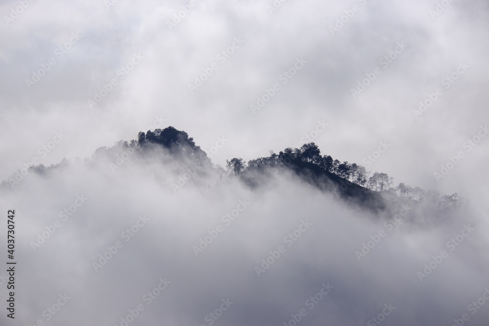 fog over the mountains