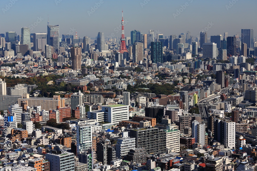 Fototapeta premium 東京のランドマークタワーと高層ビル群の風景
