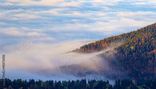 Aerial view of autumn forest over the clouds - Yedigoller , Turkey - Autumn landscape in (seven lakes) Yedigoller Park Bolu, Turkey
