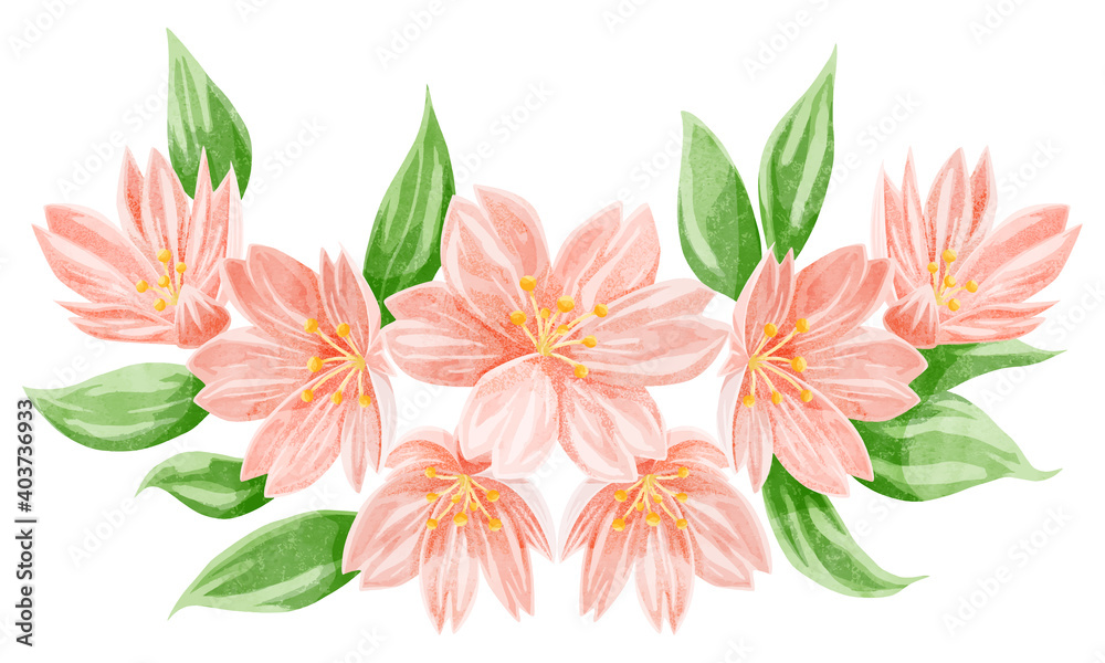 桜の花の水彩風手書きイラスト