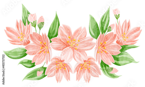桜の花の水彩風手書きイラスト © Ko hamari