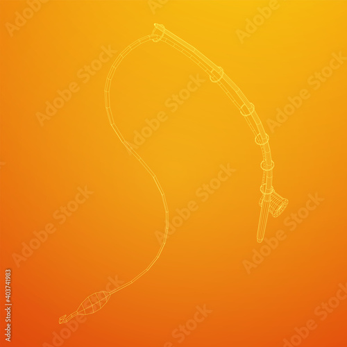 Fishing rod with line sinker and hook