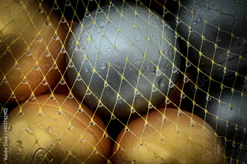 Raindrops mesh, raindrops
