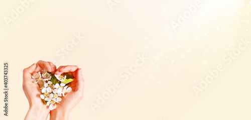 Billede på lærred Women's hands with heart-shaped palms and white apple blossoms on a champagne pink background