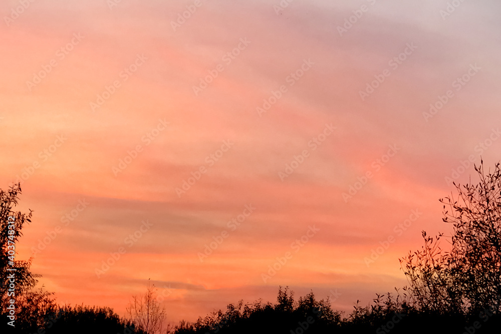 Colorful pink and orange sunset sky background