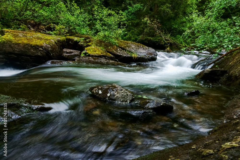Fototapeta premium curvy soft flowing mountain creek with rocks