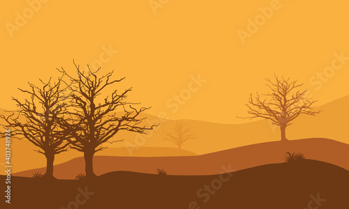 Wonderful desert scenery in the afternoon. Vector illustration