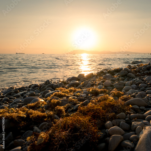 Pebble beach at sunset. Seaweed on pebbles