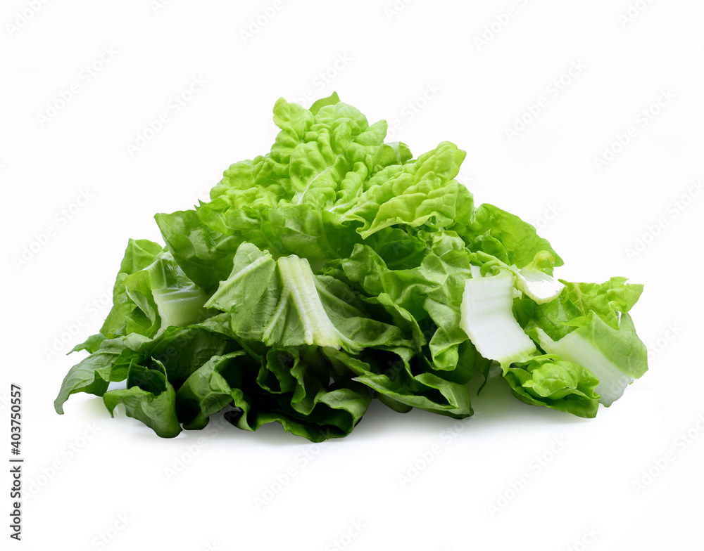 Salad leaf. Lettuce isolated on white background. Salad leaf. Lettuce isolated on white background.