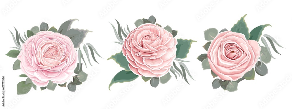 Set of vector compositions from flowers. Pink delicate roses, Asian buttercup. Flowers and plants on a white background. Set of vector compositions from flowers. Pink delicate roses, Asian buttercup. Flowers and plants on a white background.
