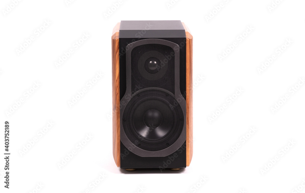 Isolated wood speaker Isolated wood speaker