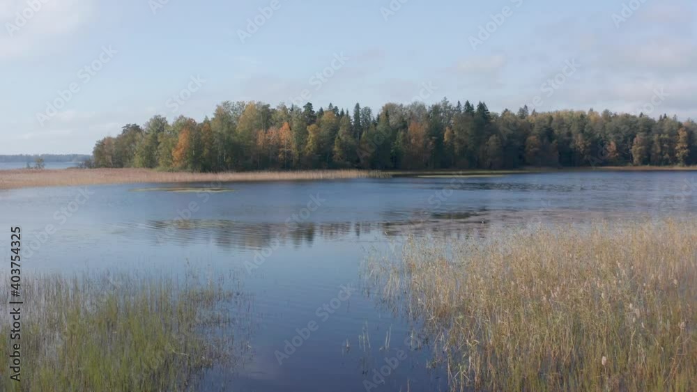 Drone flight over a picturesque autumn lake in Karelia, Russia, an island in Lake Vuoksa Drone flight over a picturesque autumn lake in Karelia, Russia, an island in Lake Vuoksa