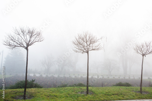 A beautiful foggy winter morning in Chisinau Moldova.