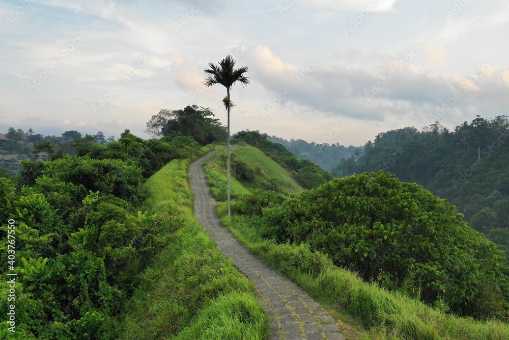 Ubud