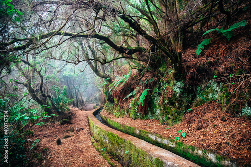 Nacientes de Marcos y Cordero trail, La Palma, Santa Cruz de Tenerife, Canary Islands, Spain. © Aníbal Martel photo