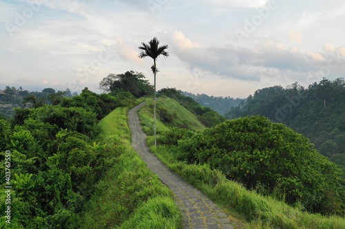 Obraz na płótnie Ubud w salonie
