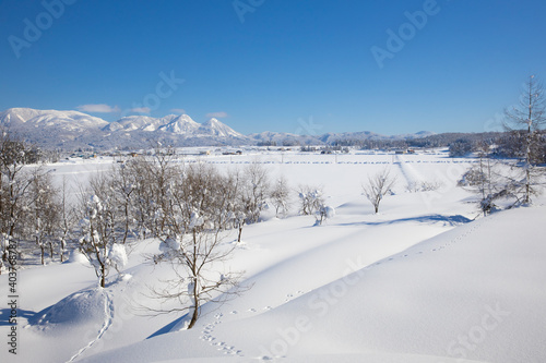 冬の里と里山の雪景色