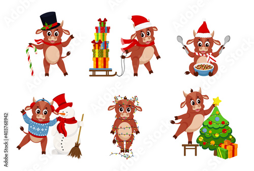 Cute ox. Color bulls chinese new year 2021 symbol, animals with horns, cows and buffalo family