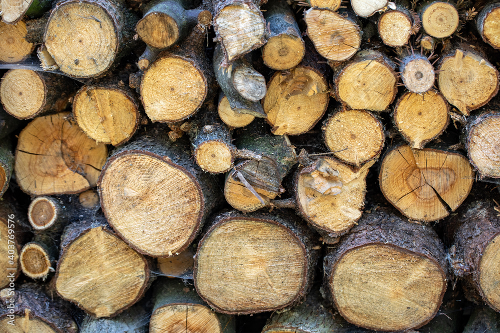 stack of firewood prepared for winter stack of firewood prepared for winter