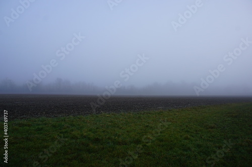 Foggy day in Suffolk