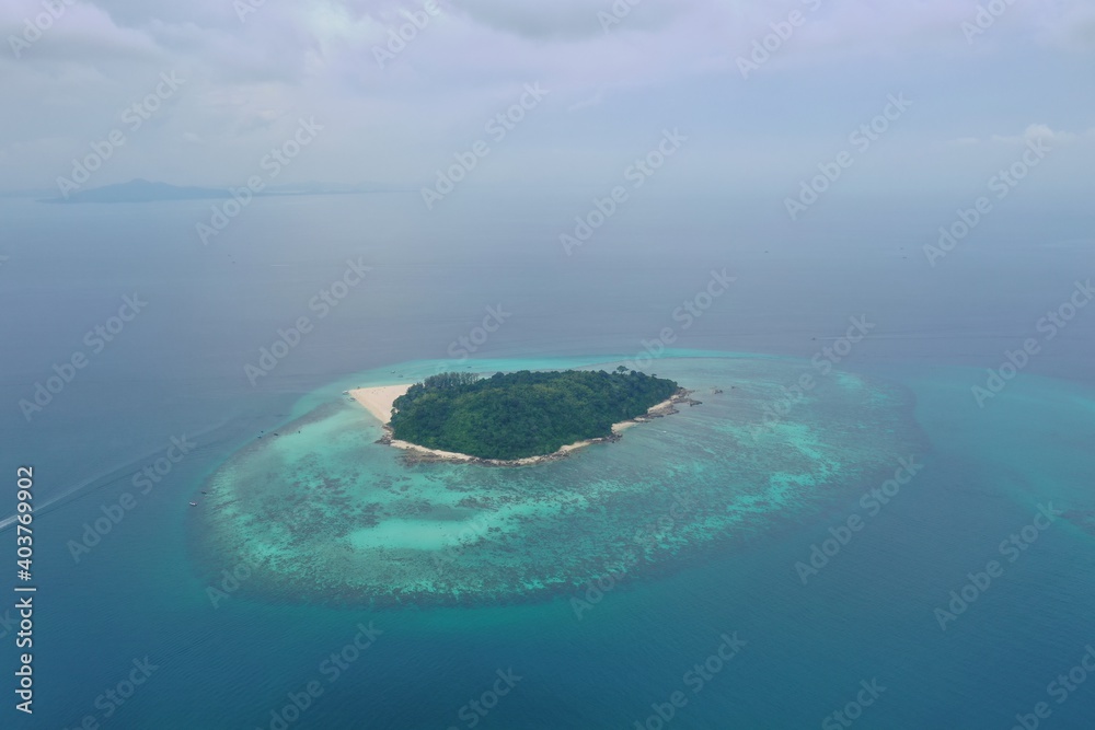 Bamboo island