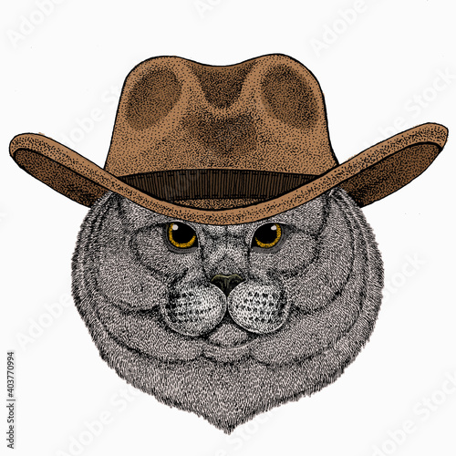 British shorthair cat animal cute face. Vector happy silver British kitten head portrait.