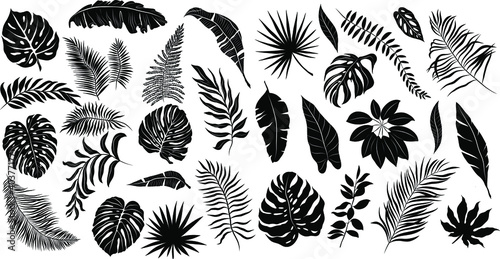 palm leaves set pattern black and white vector illustration 