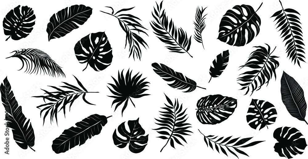 palm leaves set pattern black and white vector illustration palm leaves set pattern black and white vector illustration
