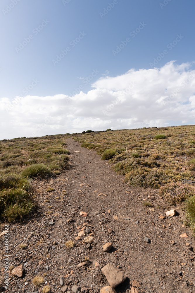 narrow dirt road in Sierra Nevada