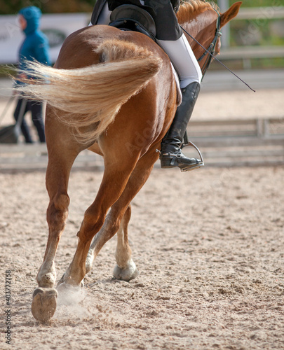 A red sports horse with a rider riding with his foot in a boot.