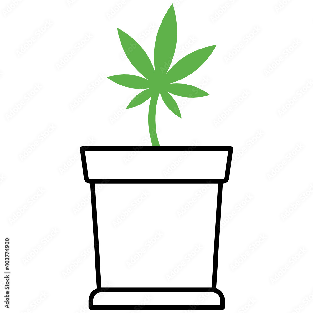 Cannabis Leaf in Flower Pot Concept, Vector Icon Design, Marijuana and psychoactive drug Symbol on white background, Hashish and Hemp Sign, Cannabis Leaf in Flower Pot Concept, Vector Icon Design, Marijuana and psychoactive drug Symbol on white background, Hashish and Hemp Sign,
