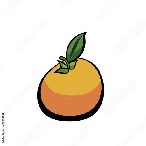 illustration of an orange fruit