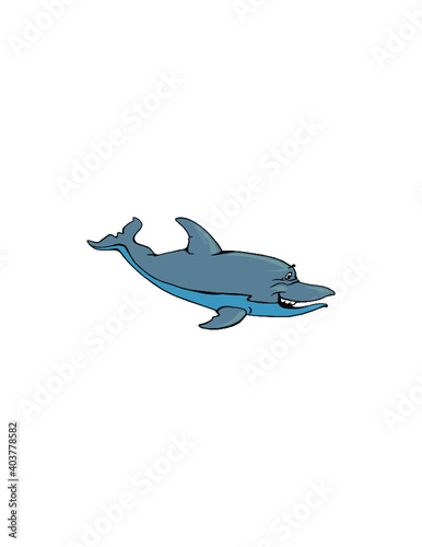 illustration of a dolphin