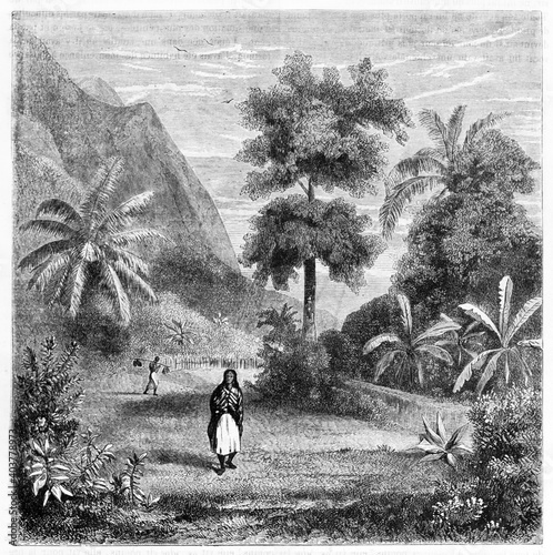 Canvas Print tahitian woman traditional dressed surrounded by luxuriant nature of Tahiti inland