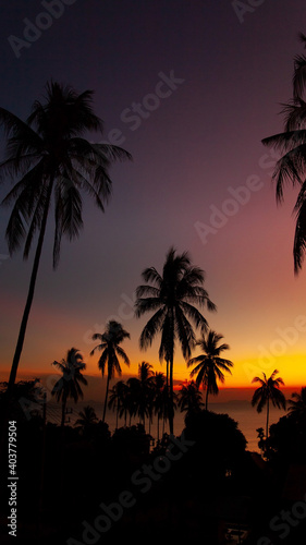 palm trees at sunset, Thailand Koh Samui © Ксения Шумейко