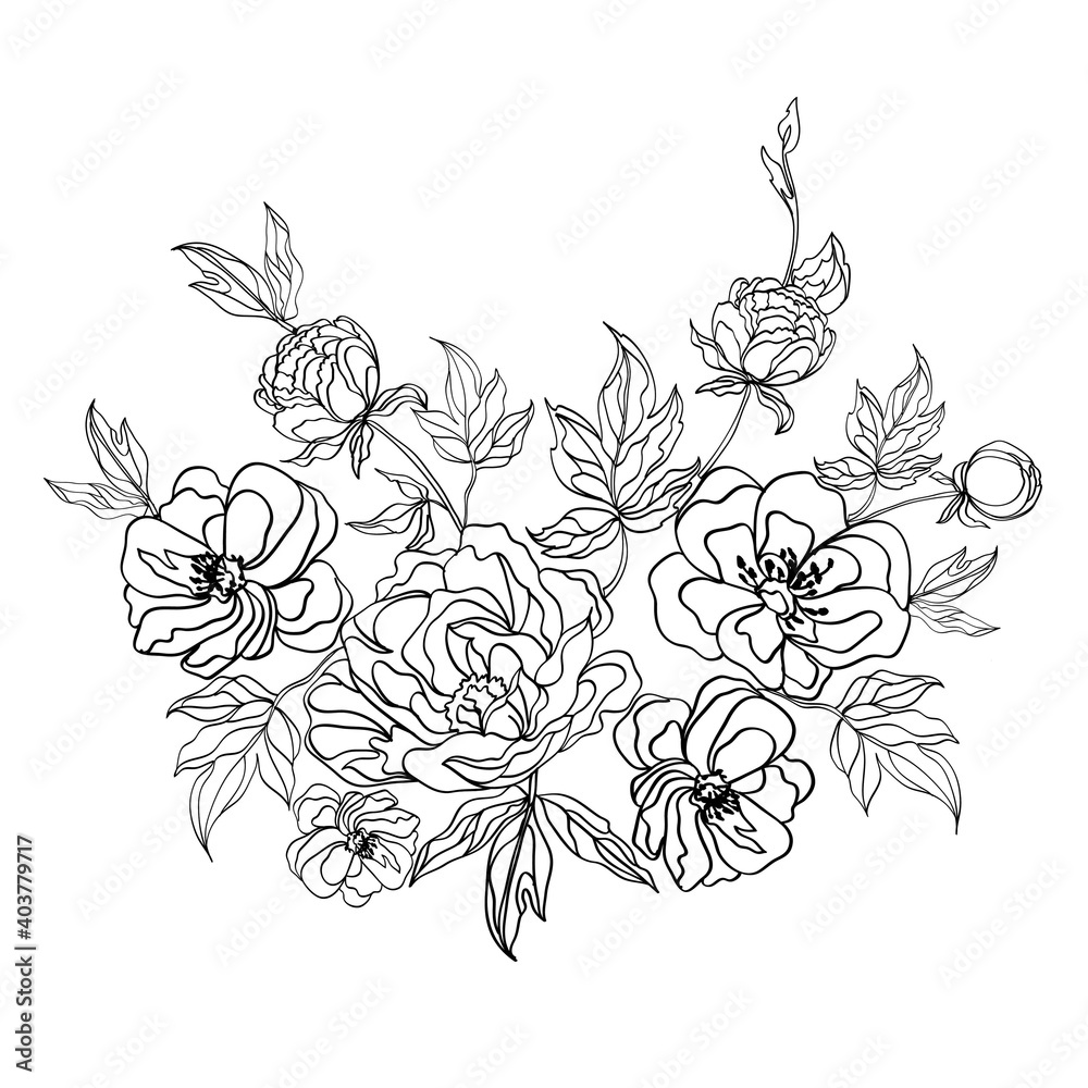 sketch of blooming peonies