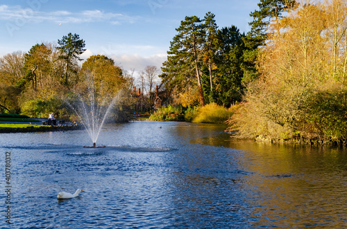 Fototapeta Naklejka Na Ścianę i Meble -  autumn in the park