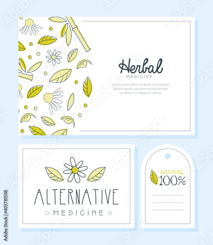 Herbal Medicine Card, Banner, Tag Templates Set, Alternative Medicine, Yoga Club, Acupuncture, Natural Cosmetics, Healing Design Vector Illustration