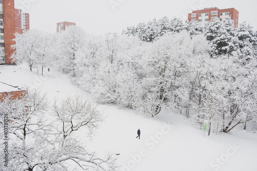 Wonderful white winter landscape with trees covered by snow after snowfall with pathway 