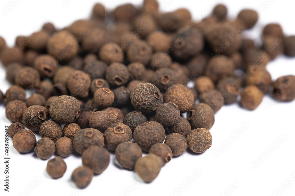 Piment, Pimenta dioica, vor weißem Hintergrund
