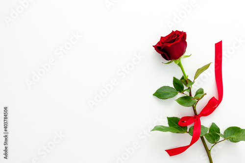 Fototapeta Naklejka Na Ścianę i Meble -  Valentine's Day. Red rose with a ribbon