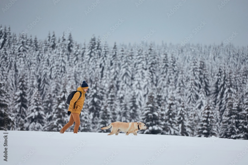 Young man with dog in winter nature. Pet owner with his labrador retriever walking against snowy forest during frosty day. Jizera mountains, Czech Republic